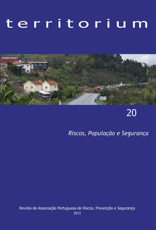 					View No. 20 (2013): Risks, Population and Safety
				